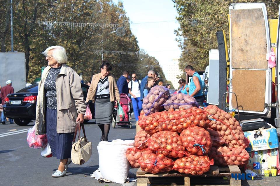 Осенью в Черноморске пройдет несколько сельскохозяйственных ярмарок