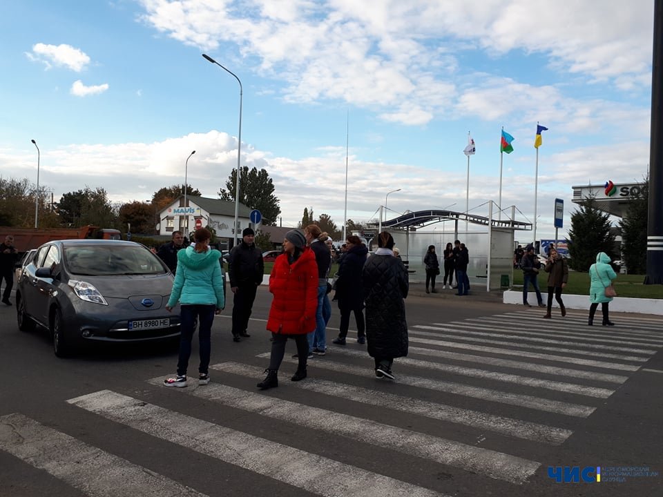 Зоозащитники перекрыли движение на трассе Одесса-Черноморск с требованием спасти овец