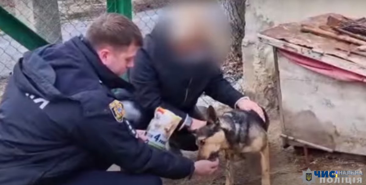 На Одещині знайшли дівчинку, яка викладала в мережу жорстокі відео знущання над собаками