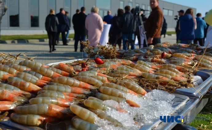 Біля Чорноморська відкриють креветкову ферму: лиман здали в оренду