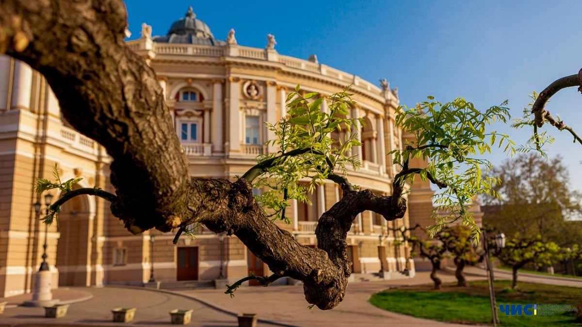 Більше не Катерининська, а Європейська: в Одесі перейменували 14 об'єктів топоніміки