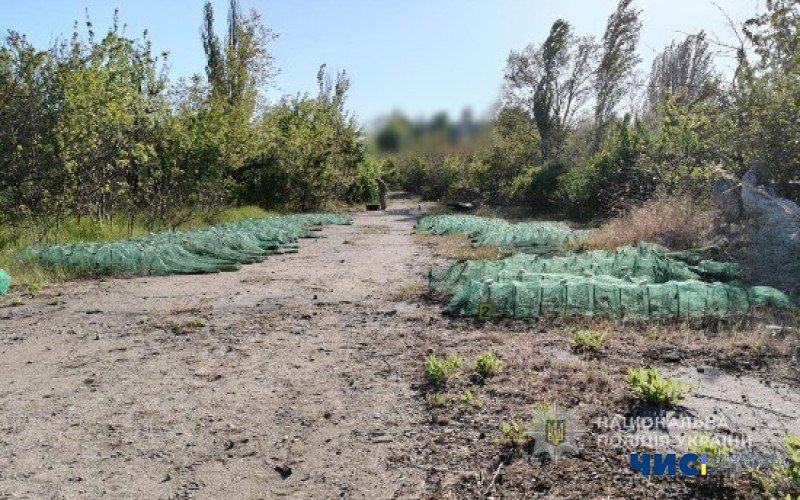 Жителі Чорноморська попались на браконьєрстві в акваторії Сухого лиману