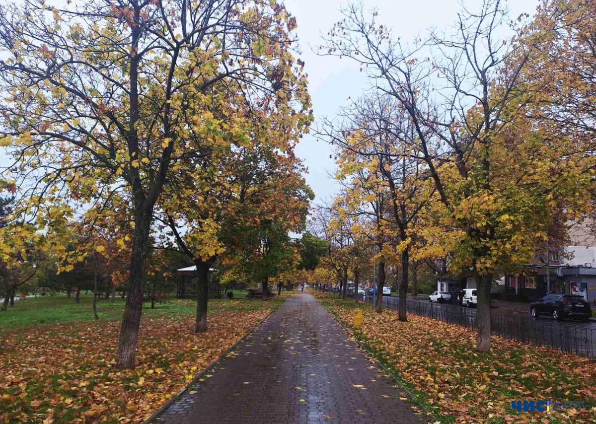 Якою буде погода у Чорноморську протягом тижня – з 10 по 16 листопада