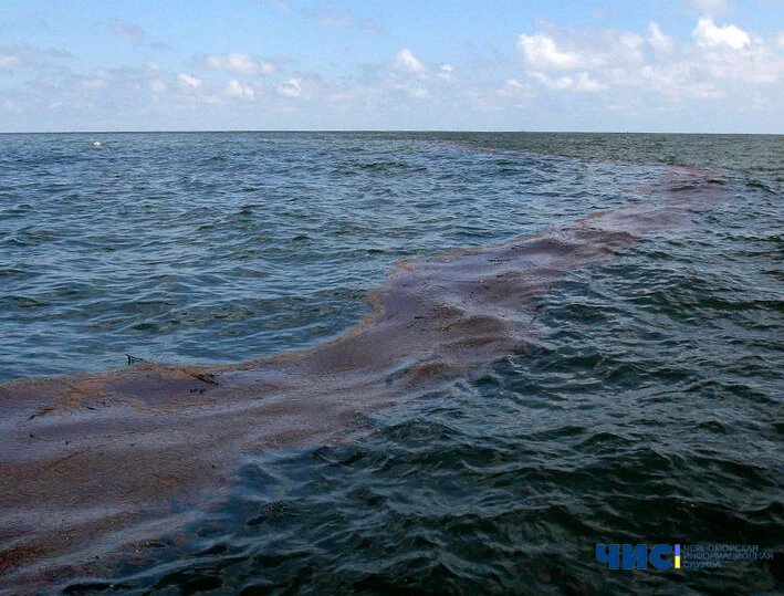 У Чорному морі новий витік нафти