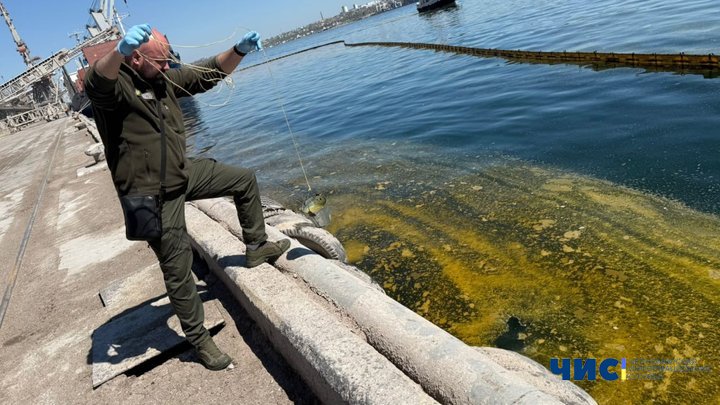 Розлив олії у порту Чорноморська: можливі наслідки