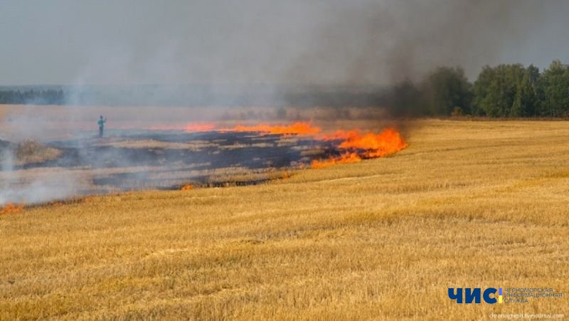 Поблизу Чорноморська через ворожий обстріл згоріли 10 гектарів пшениці: збитки перевищили 22 млн гривень