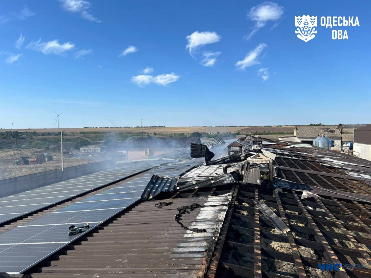 На Одещині ворог ударив по діючій птахофермі